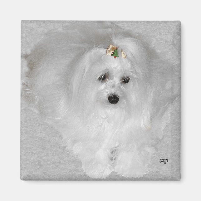 Maltese with Christmas Bow Magnet (Front)
