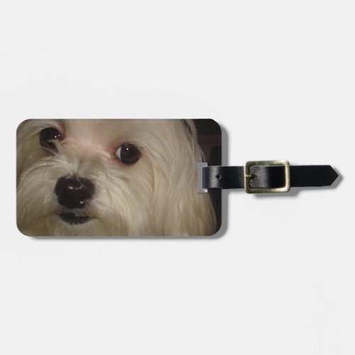 Maltese with Red Bow Luggage Tag