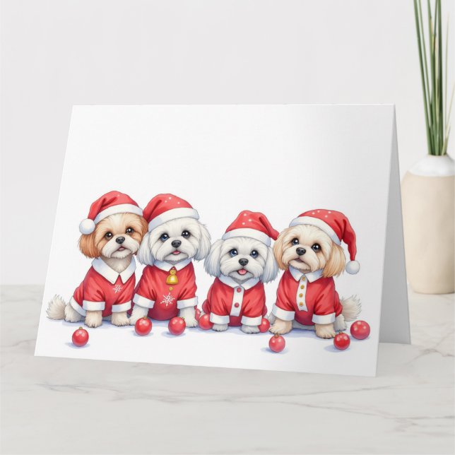 Malti Tzu Christmas Dress Santa Hat Card (Front)