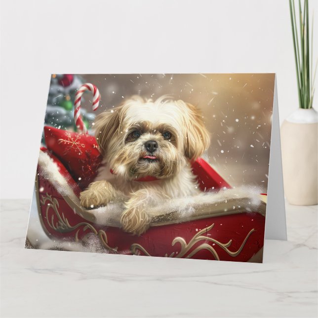 Malti Tzu Dog Christmas Festive Card (Front)