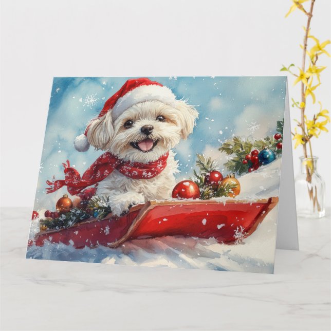 Malti Tzu  Dog in Sledge Let it Snow Christmas Card (Yellow Flower)