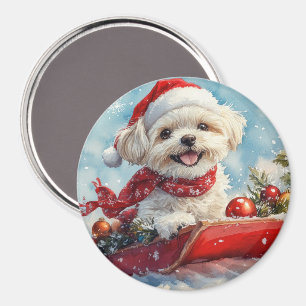 Malti Tzu Dog in Sledge Let it Snow Christmas Magnet