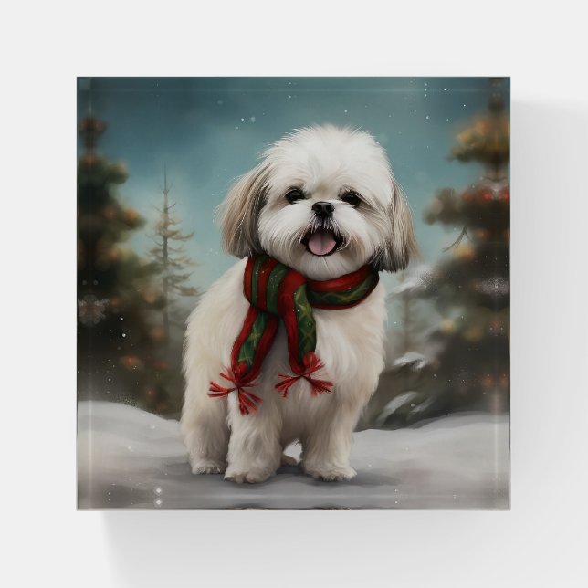 Malti Tzu Dog in Snow Christmas Paperweight (Front)