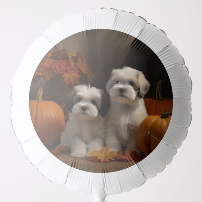Malti tzu Puppy Autumn Delight Pumpkin Balloon (Front)