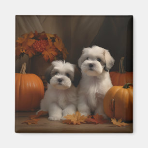 Malti tzu Puppy Autumn Delight Pumpkin Magnet
