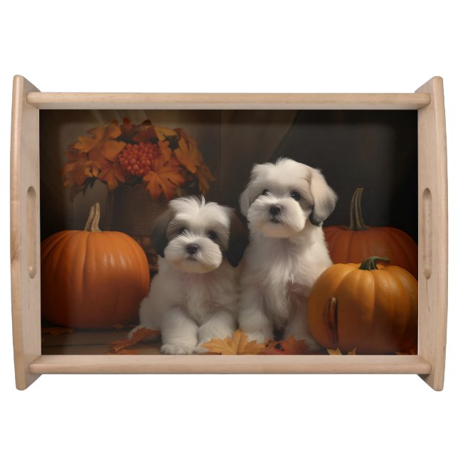 Malti tzu Puppy Autumn Delight Pumpkin Serving Tray (Front)