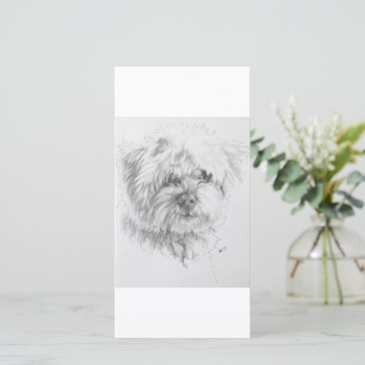 Maltipoo (Standing Front)