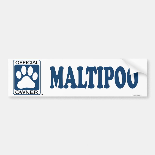 Maltipoo Blue Bumper Sticker (Front)