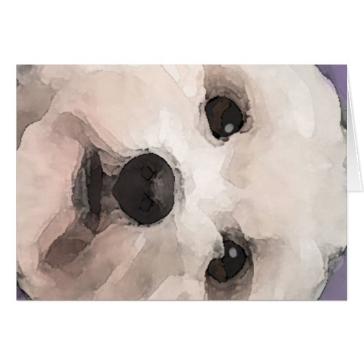 Maltipoo Cards (Front Horizontal)