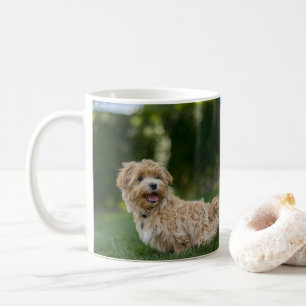Maltipoo Coffee Mug