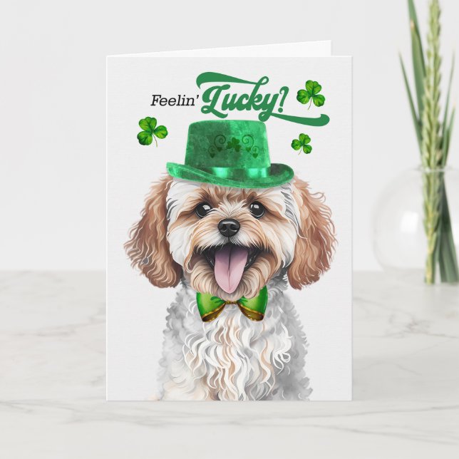 Maltipoo Dog Feelin' Lucky St Patrick's Day Holiday Card (Front)