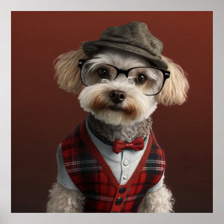 Maltipoo Hipster Dog Poster