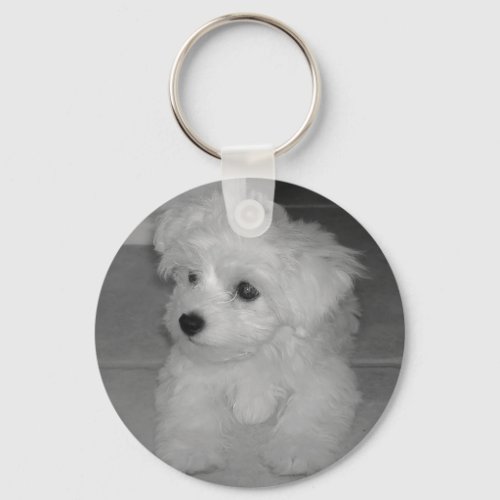 Maltipoo Keychain