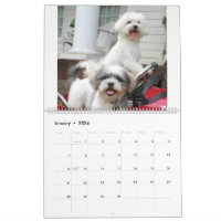 https://rlv.zcache.com/maltipoo_maltese_puppy_calendar-r482e15a0bd5b4b80911e2b975e842817_qyt9k_8byvr_200.jpg?rlvnet=1