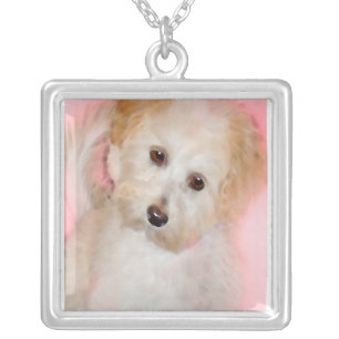 maltipoo necklace