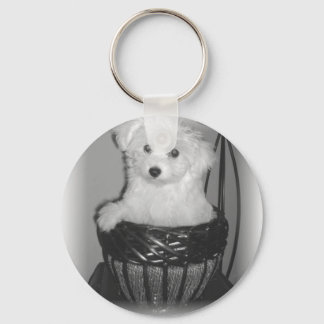 MaltiPoo Products Keychain