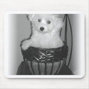 MaltiPoo Products Mouse Pad
