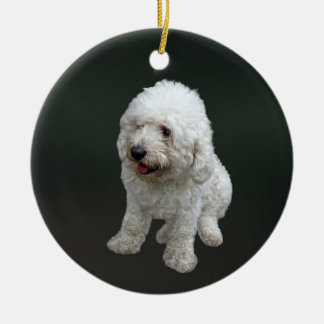 Maltipoo Puppy Ceramic Ornament