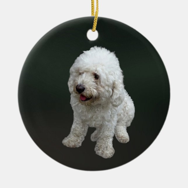 Maltipoo Puppy Ceramic Ornament (Front)