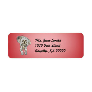 Maltipoo Puppy on Pink Label