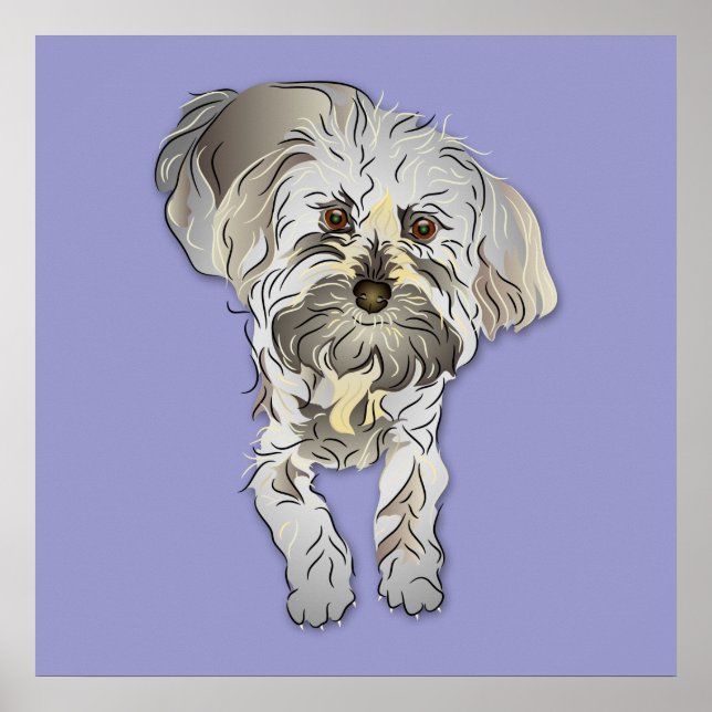 Maltipoo Puppy Poster (Front)