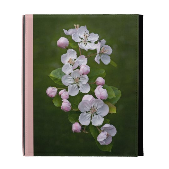 Malus Blossom iPad Folio Case