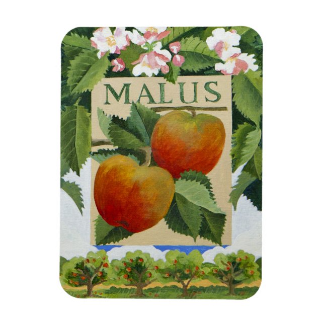 Malus Magnet (Vertical)