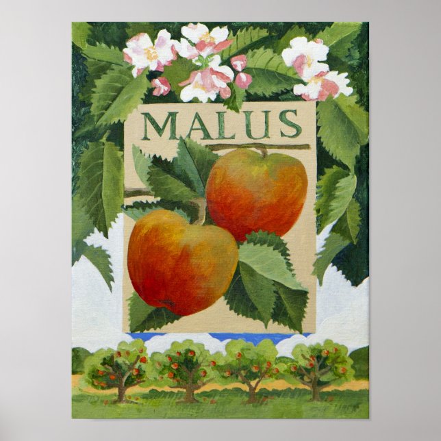 Malus Poster (Front)