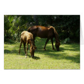 Mama and Baby (Front Horizontal)