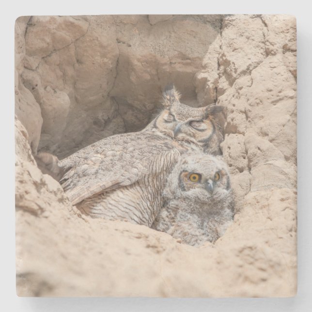 Mama and Baby Owl Stone Coaster (Front)