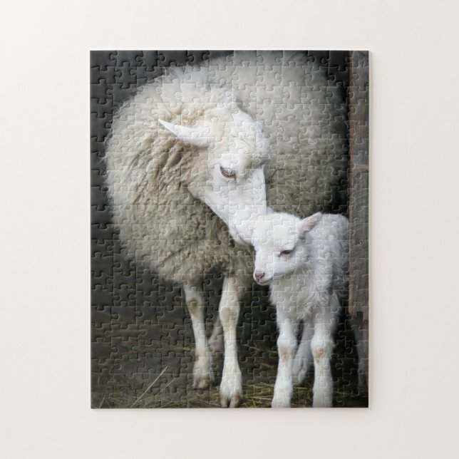 Mama & Baby Sheep Jigsaw Puzzle (Vertical)