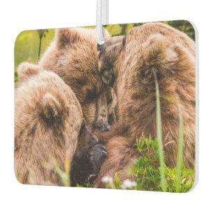 Mama bear nursing her two cubs, Lake Clark Nationa Air Freshener