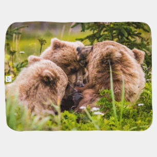 Mama bear nursing her two cubs, Lake Clark Nationa Baby Blanket