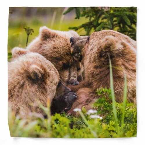 Mama bear nursing her two cubs Lake Clark Nationa Bandana