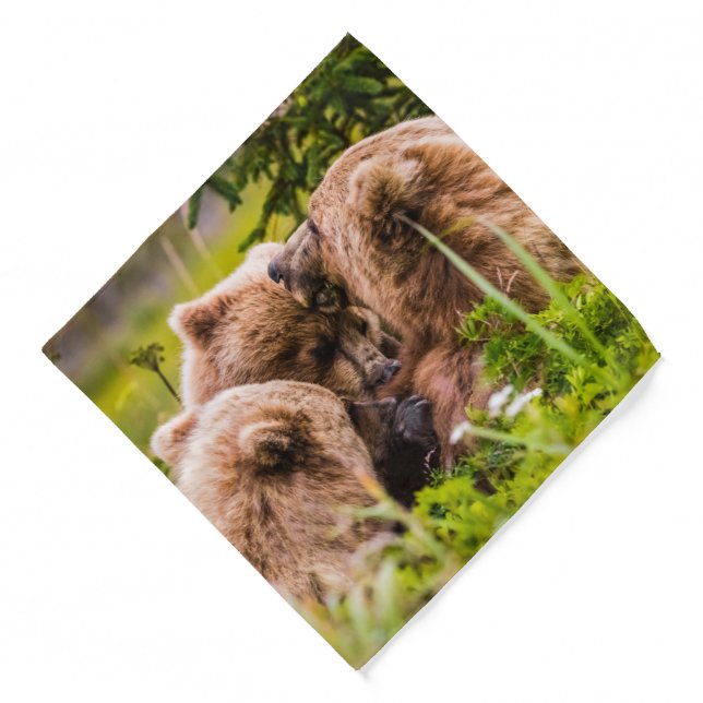 Mama bear nursing her two cubs, Lake Clark Nationa Bandana (Front)
