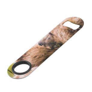 Mama bear nursing her two cubs, Lake Clark Nationa Bar Key