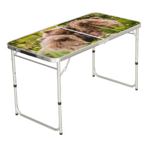 Mama bear nursing her two cubs, Lake Clark Nationa Beer Pong Table