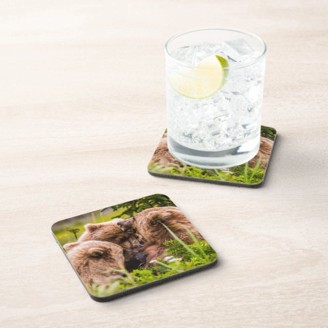 Mama bear nursing her two cubs, Lake Clark Nationa Beverage Coaster (Right Side)