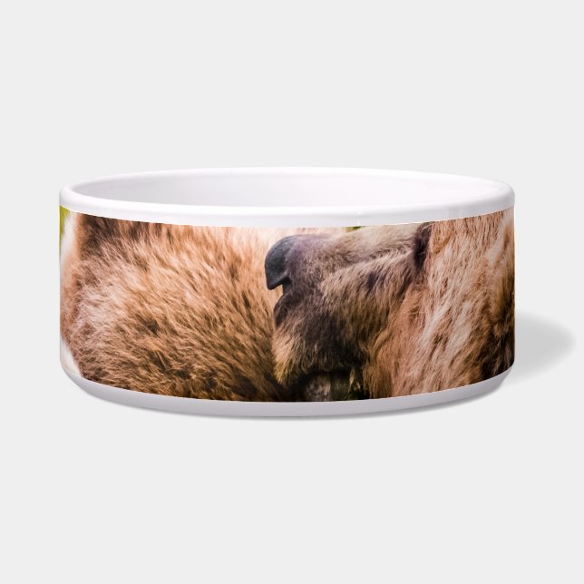 Mama bear nursing her two cubs, Lake Clark Nationa Bowl (Front)