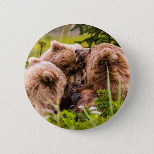 Mama bear nursing her two cubs Lake Clark Nationa Button