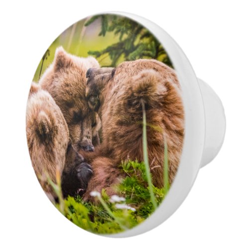 Mama bear nursing her two cubs Lake Clark Nationa Ceramic Knob