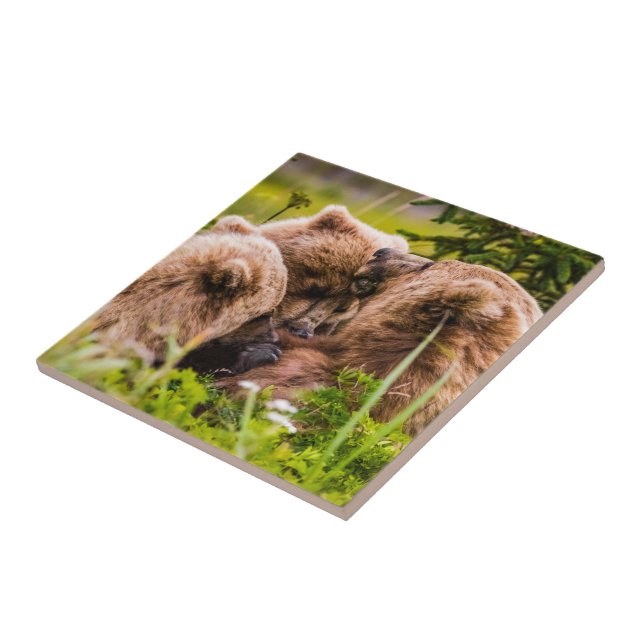 Mama bear nursing her two cubs, Lake Clark Nationa Ceramic Tile (Side)