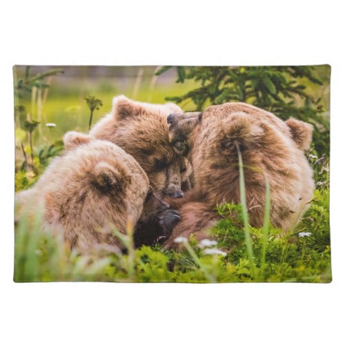 Mama bear nursing her two cubs Lake Clark Nationa Cloth Placemat