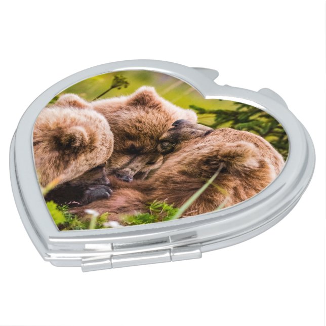 Mama bear nursing her two cubs, Lake Clark Nationa Compact Mirror (Turned)