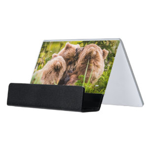 Mama bear nursing her two cubs, Lake Clark Nationa Desk Business Card Holder