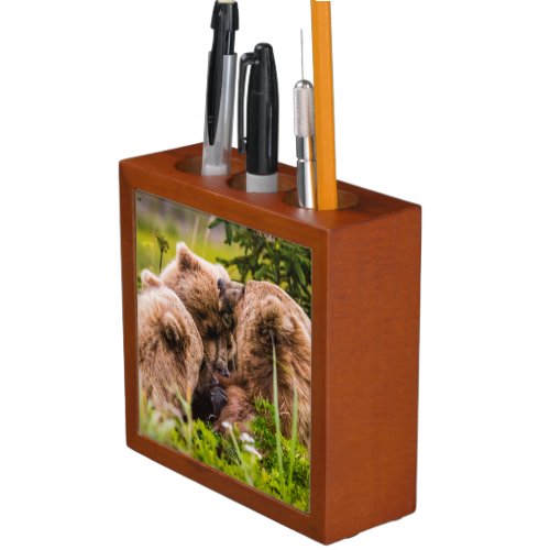 Mama bear nursing her two cubs Lake Clark Nationa Desk Organizer