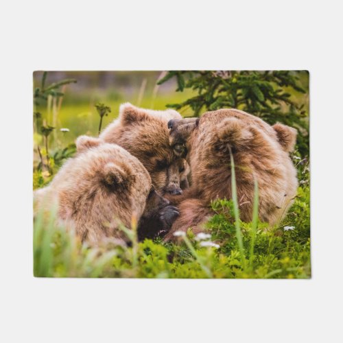 Mama bear nursing her two cubs Lake Clark Nationa Doormat