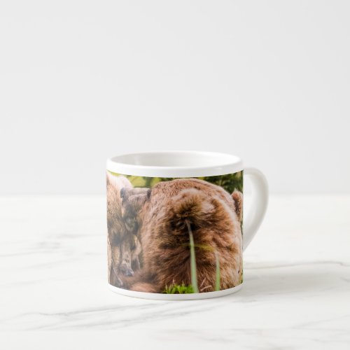 Mama bear nursing her two cubs Lake Clark Nationa Espresso Cup