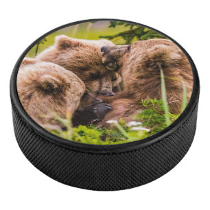 Mama bear nursing her two cubs, Lake Clark Nationa Hockey Puck