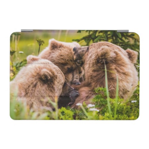Mama bear nursing her two cubs Lake Clark Nationa iPad Mini Cover